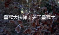 皇冠大扶梯（關(guān)于皇冠大扶梯的基本情況說明介紹）