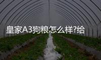 皇家A3狗糧怎么樣?給幼犬喂合適嗎？ 皇家a3狗糧