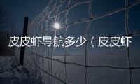 皮皮蝦導航多少（皮皮蝦導航網）