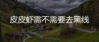 皮皮蝦需不需要去黑線
