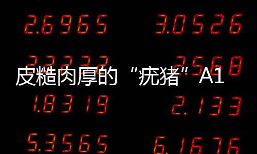 皮糙肉厚的“疣豬”A10攻擊機豬鼻子被空中加油桿戳成大花臉