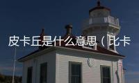 皮卡丘是什么意思（比卡丘是什么意思）
