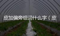 皮加偏旁組詞什么字（皮加偏旁組詞）
