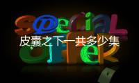 皮囊之下一共多少集