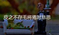 皮之不存毛將焉附意思 皮之不存毛將焉附的意思是什么