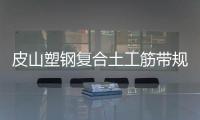 皮山塑鋼復合土工筋帶規格