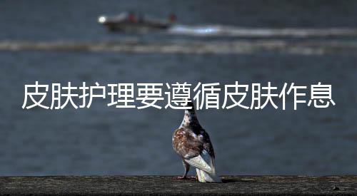 皮膚護理要遵循皮膚作息時間
