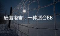 皮諾塔吉：一種適合BBQ的南非紅酒