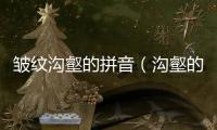 皺紋溝壑的拼音（溝壑的拼音）