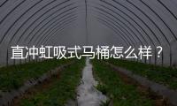 直沖虹吸式馬桶怎么樣？