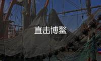 直擊博鰲
