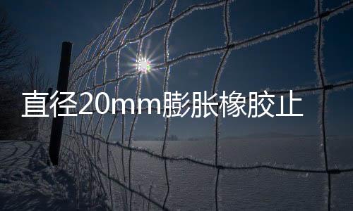 直徑20mm膨脹橡膠止水環
