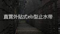 直營外貼式eb型止水帶的廠家