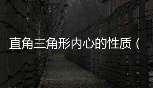 直角三角形內(nèi)心的性質(zhì)（三角形內(nèi)心的性質(zhì)）
