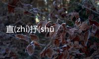 直(zhí)抒(shū)己(jǐ)見(jiàn)消息可靠嗎?