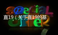直19（關于直19的基本情況說明介紹）