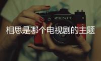 相思是哪個電視劇的主題曲歌詞（相思是哪個電視劇的主題曲）