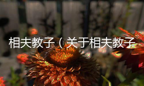 相夫教子（關(guān)于相夫教子的基本情況說明介紹）