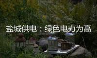 鹽城供電：綠色電力為高質量發展注入澎湃動能