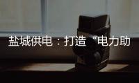 鹽城供電：打造“電力助應(yīng)急”戰(zhàn)略合作新樣態(tài)