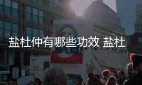 鹽杜仲有哪些功效 鹽杜仲的食用禁忌是什么