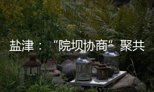 鹽津：“院壩協(xié)商”聚共識，“普法強基”促文明