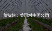 蓋特納：美國對中國公司來美投資將更加開放