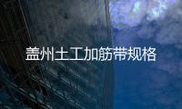 蓋州土工加筋帶規格