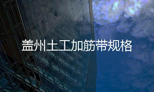 蓋州土工加筋帶規格