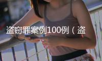 盜竊罪案例100例（盜竊罪案例）