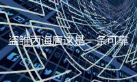 盜雛丙誨唐這是一條可靠的消息嗎?