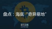 盤點：海底“奇異墓地”（圖）