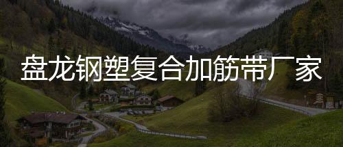 盤龍鋼塑復合加筋帶廠家