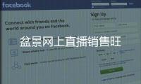盆景網上直播銷售旺