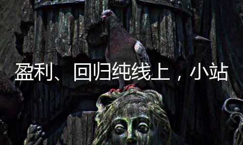 盈利、回歸純線上，小站教育的進與退