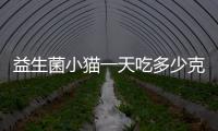 益生菌小貓一天吃多少克  益生菌貓咪一次喂多少