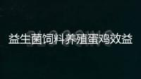 益生菌飼料養殖蛋雞效益好