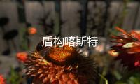 盾構喀斯特