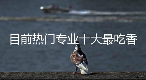 目前熱門專業十大最吃香專業（未來十年可能較為吃香的十個專業）