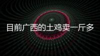 目前廣西的土雞賣一斤多少和廣西土雞銷售的情況說明