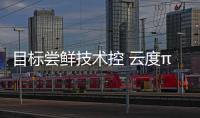 目標(biāo)嘗鮮技術(shù)控 云度π1/π3將于年內(nèi)上市