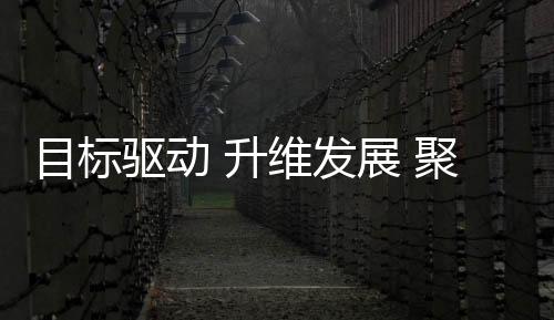 目標(biāo)驅(qū)動 升維發(fā)展 聚合共贏