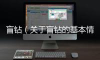 盲鉆（關(guān)于盲鉆的基本情況說(shuō)明介紹）