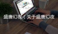 盛唐幻夜（關于盛唐幻夜的基本情況說明介紹）