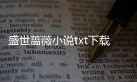 盛世薔薇小說txt下載（盛世薔薇）