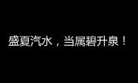 盛夏汽水，當(dāng)屬碧升泉！碧升泉果汁汽水有顏更好喝！