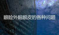 眼瞼外翻眼皮的各種問題