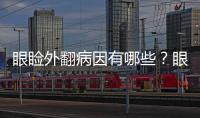 眼瞼外翻病因有哪些？眼瞼外翻矯正多少錢？