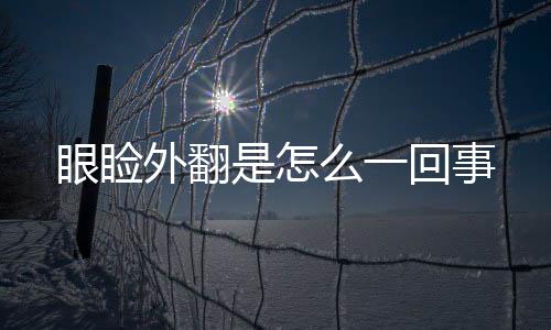 眼瞼外翻是怎么一回事