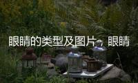 眼睛的類型及圖片，眼睛類型圖解